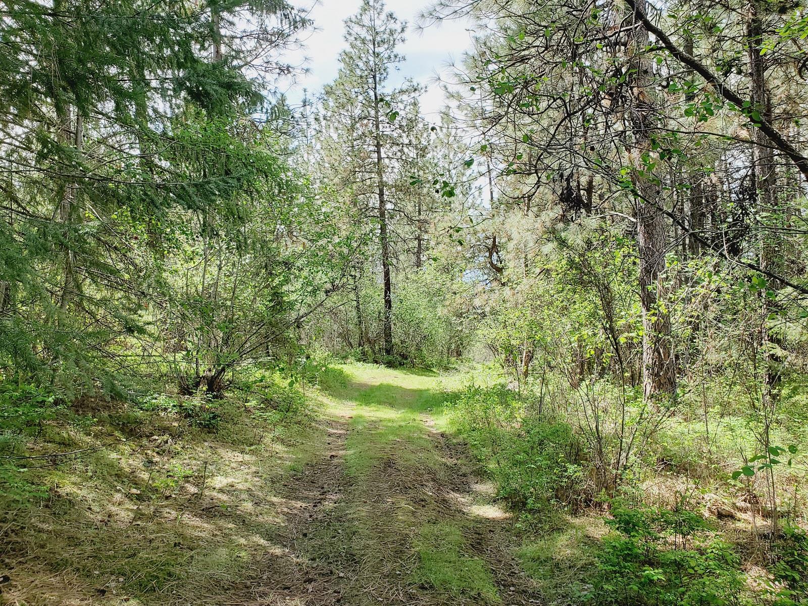 00 E Bigelow Gulch Rd - Photo 19