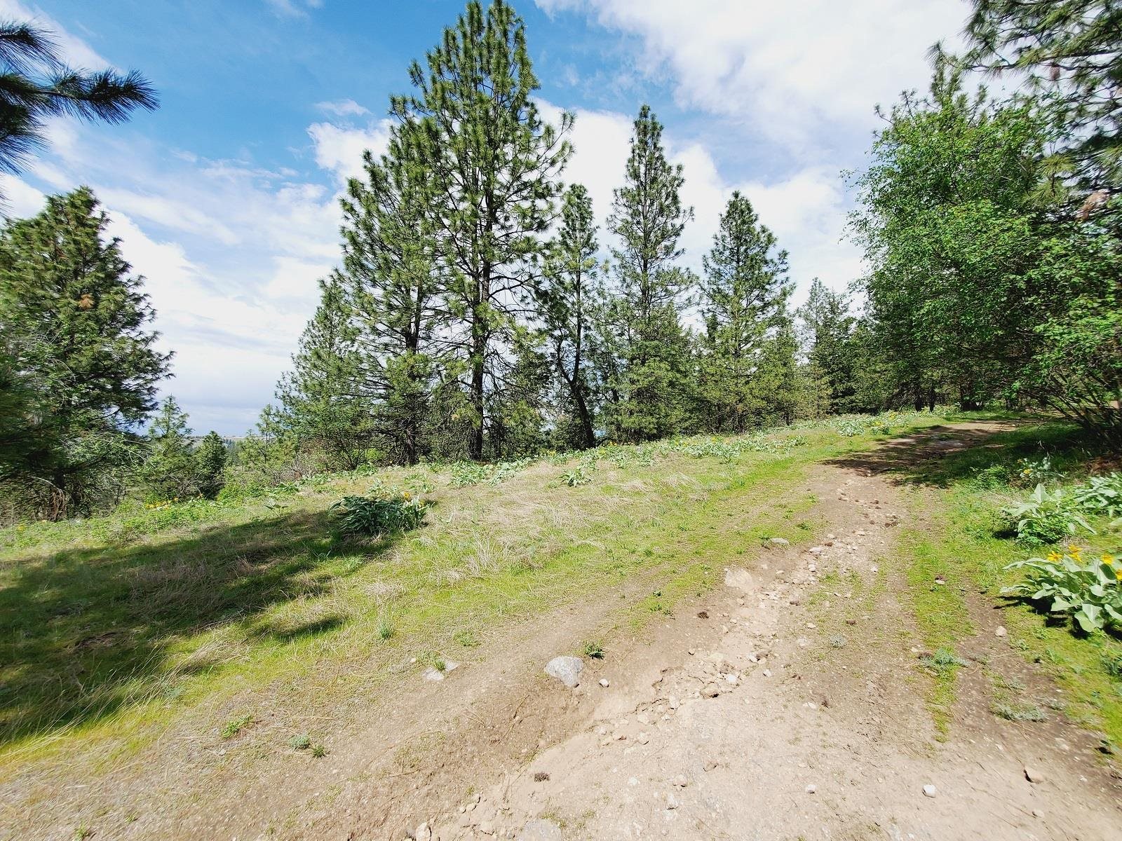 00 E Bigelow Gulch Rd - Photo 3