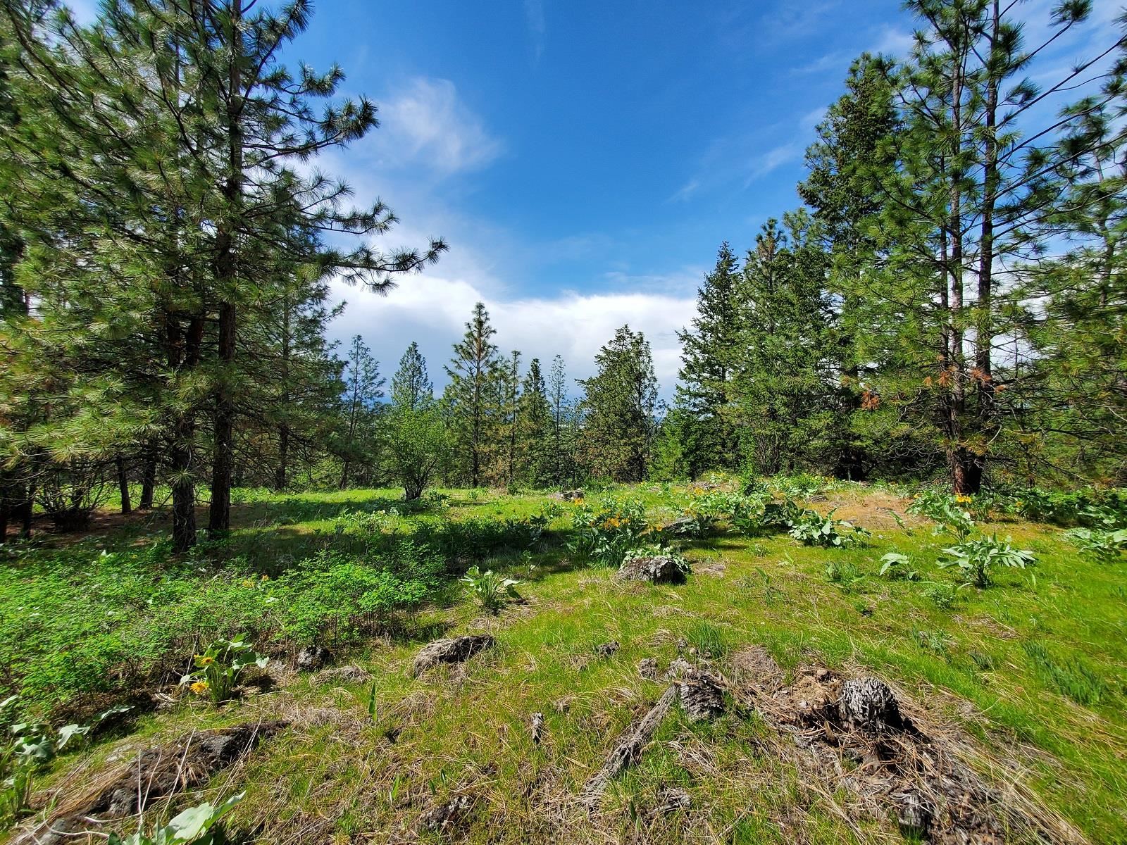 00 E Bigelow Gulch Rd - Photo 4