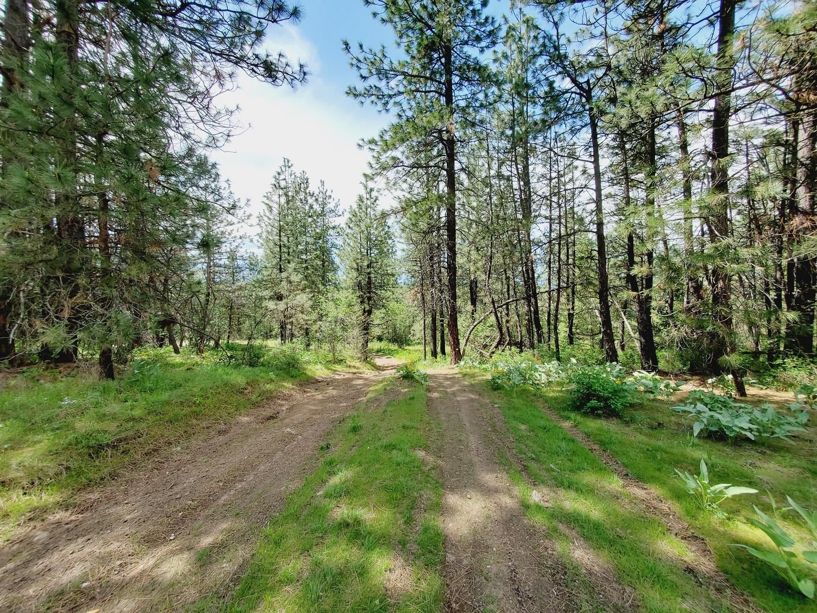 00 E Bigelow Gulch Rd - Photo 5