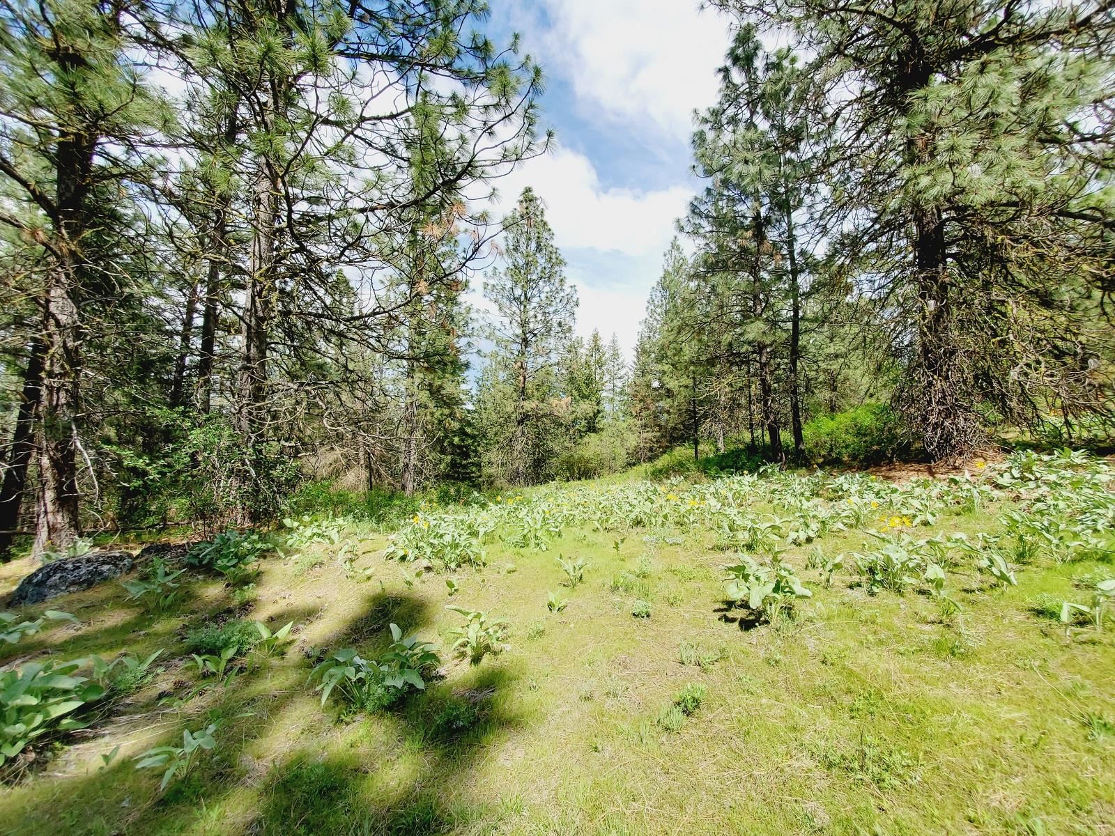 00 E Bigelow Gulch Rd - Photo 7