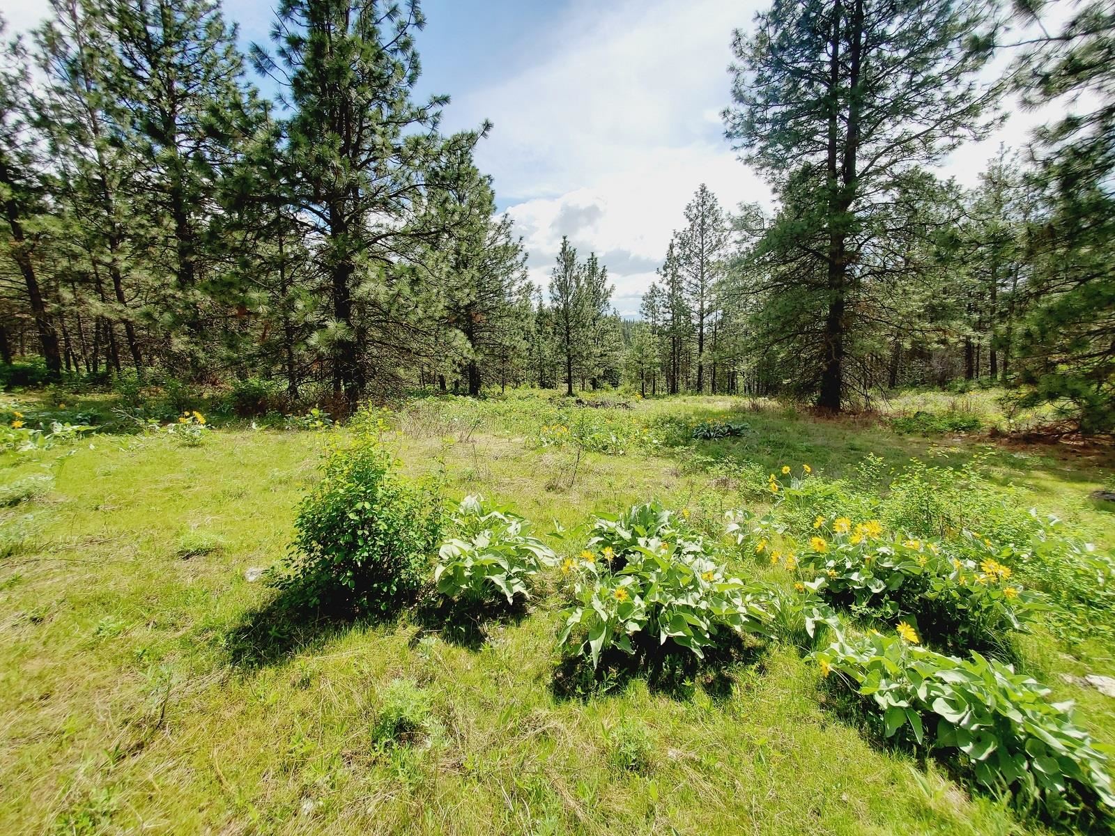 00 E Bigelow Gulch Rd - Photo 9