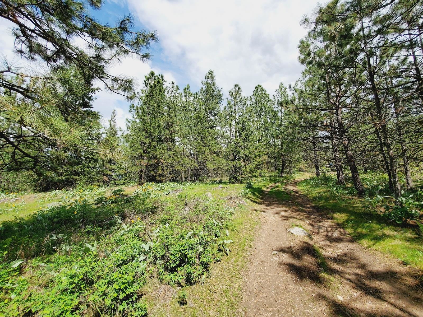 00 E Bigelow Gulch Rd - Photo 10