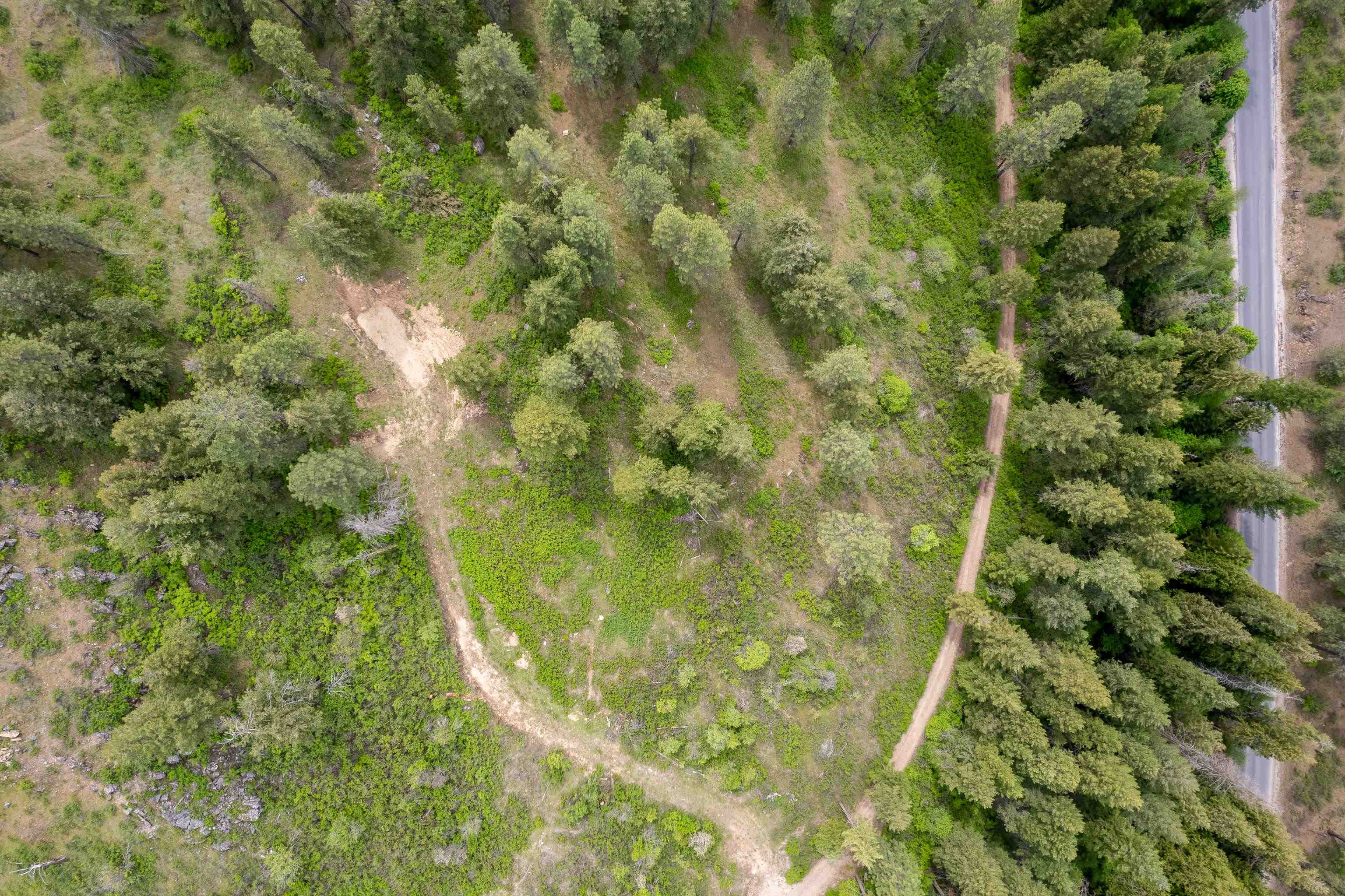 XXX N Schwatchtgen Rd - Photo 14