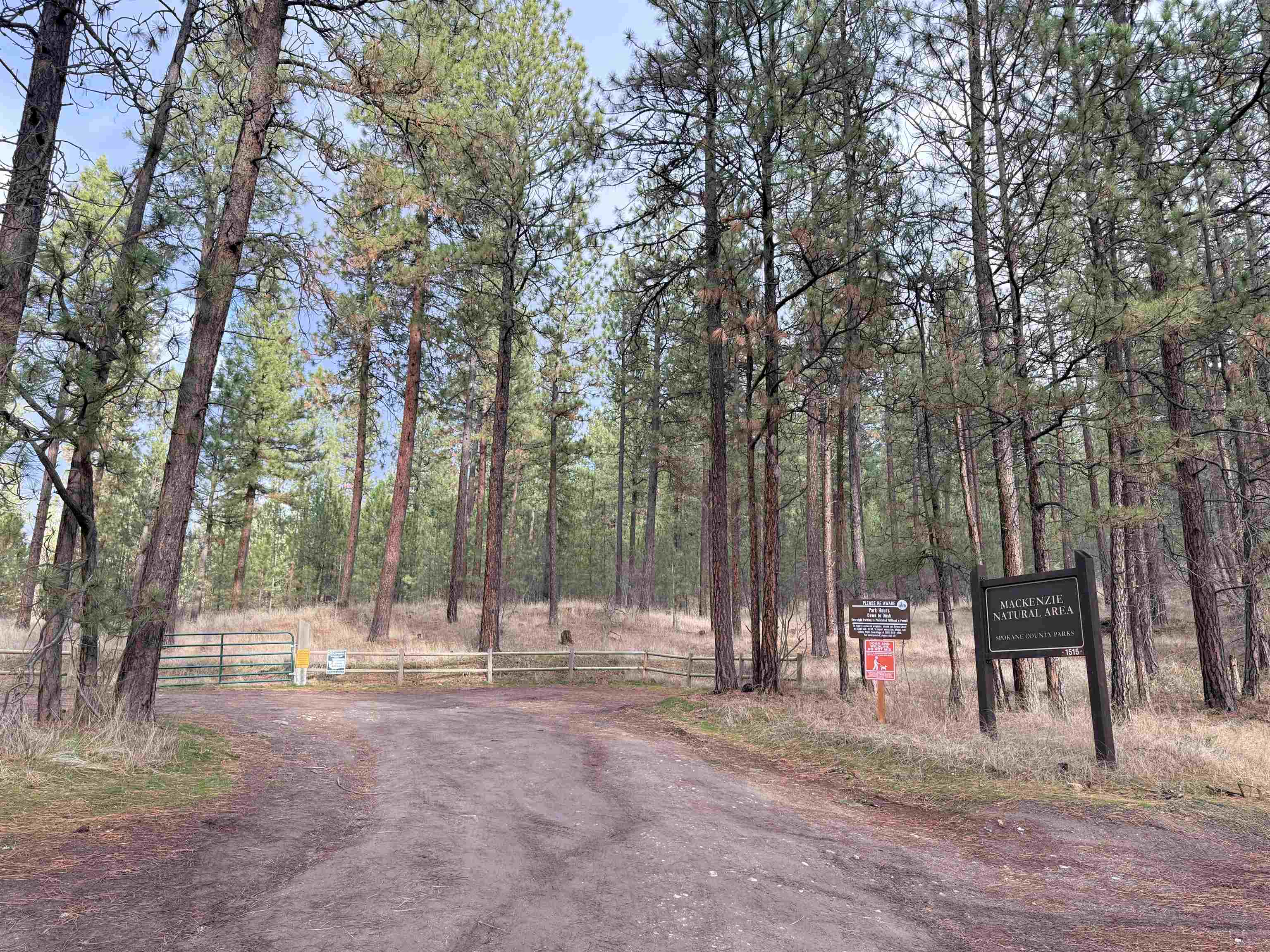 2008 S Zephyr Rd - Photo 45