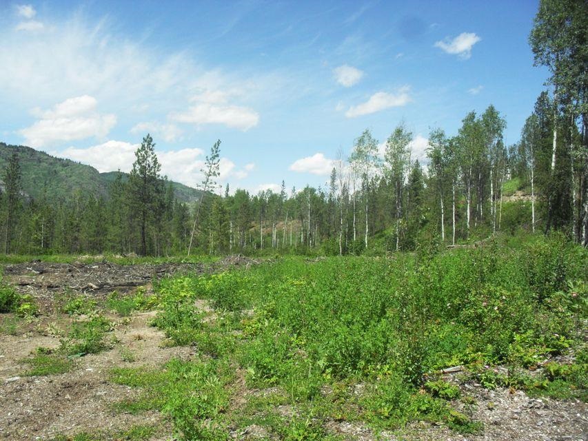 3850 N Hwy 25 Hwy - Photo 15