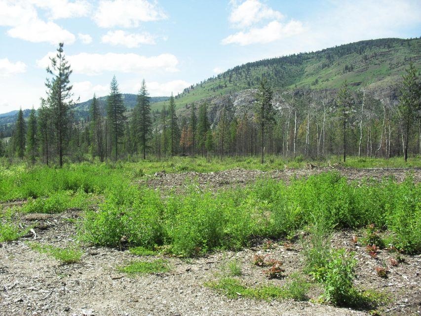3850 N Hwy 25 Hwy - Photo 16