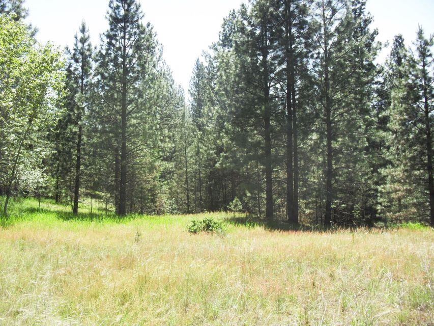 3850 N Hwy 25 Hwy - Photo 8