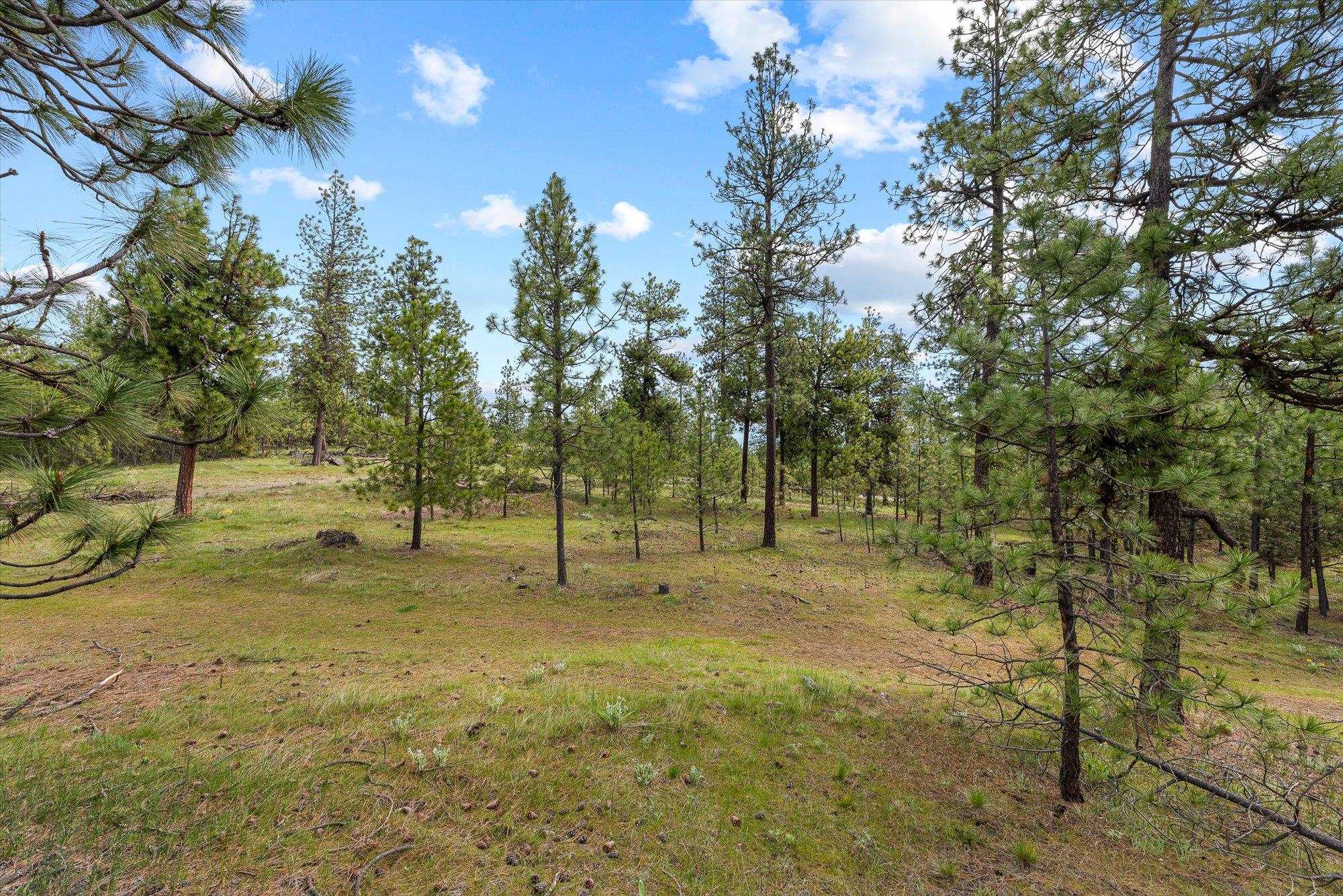 25323 E Colony Ln - Photo 18