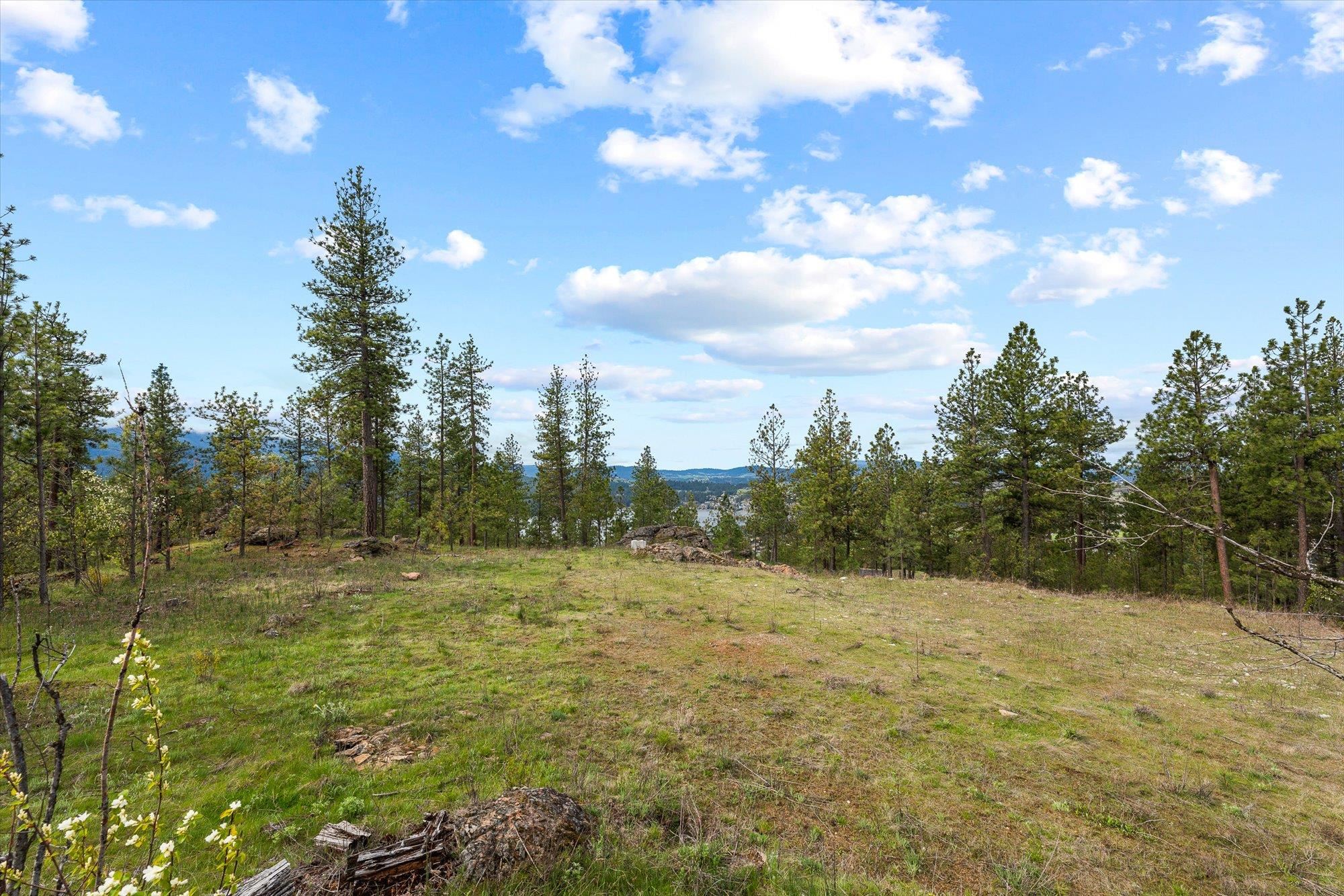 25323 E Colony Ln - Photo 19