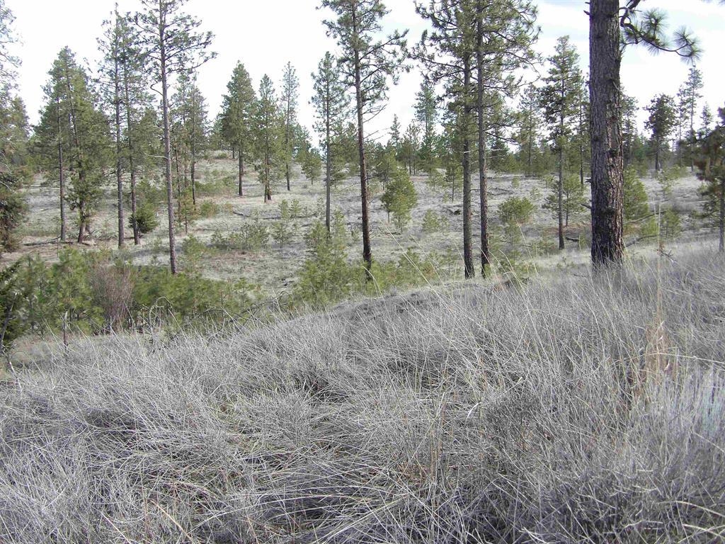 Lot 2 Pine Hen Ln - Photo 1