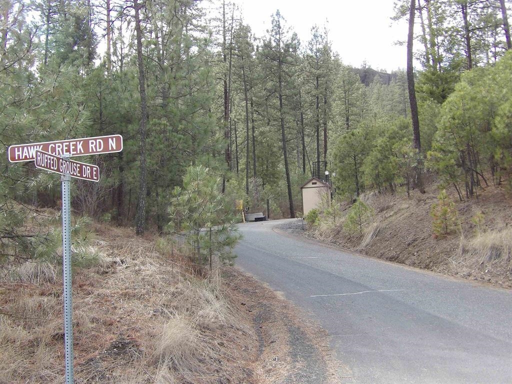 Lot 2 Pine Hen Ln - Photo 2