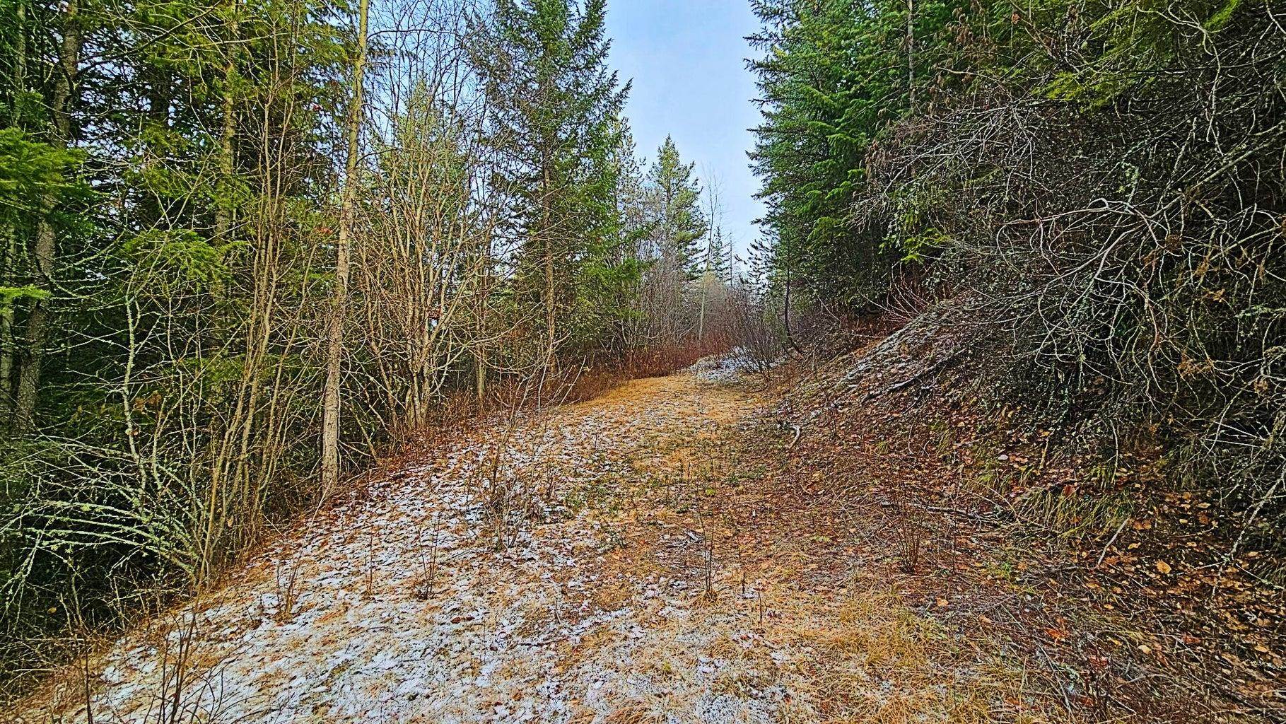26XX A Burnt Valley Rd - Photo 4