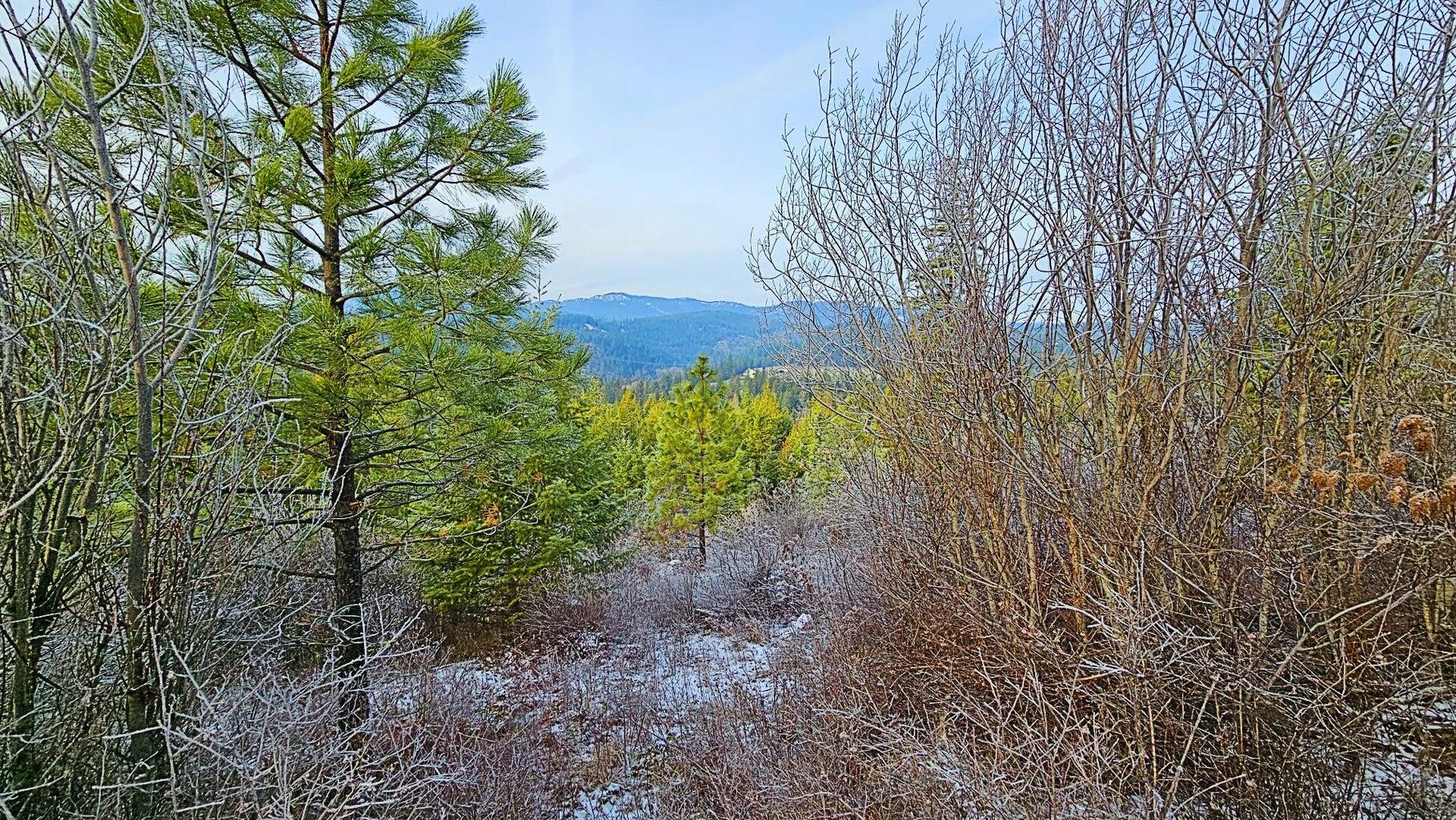 26XX B Burnt Valley Rd - Photo 6