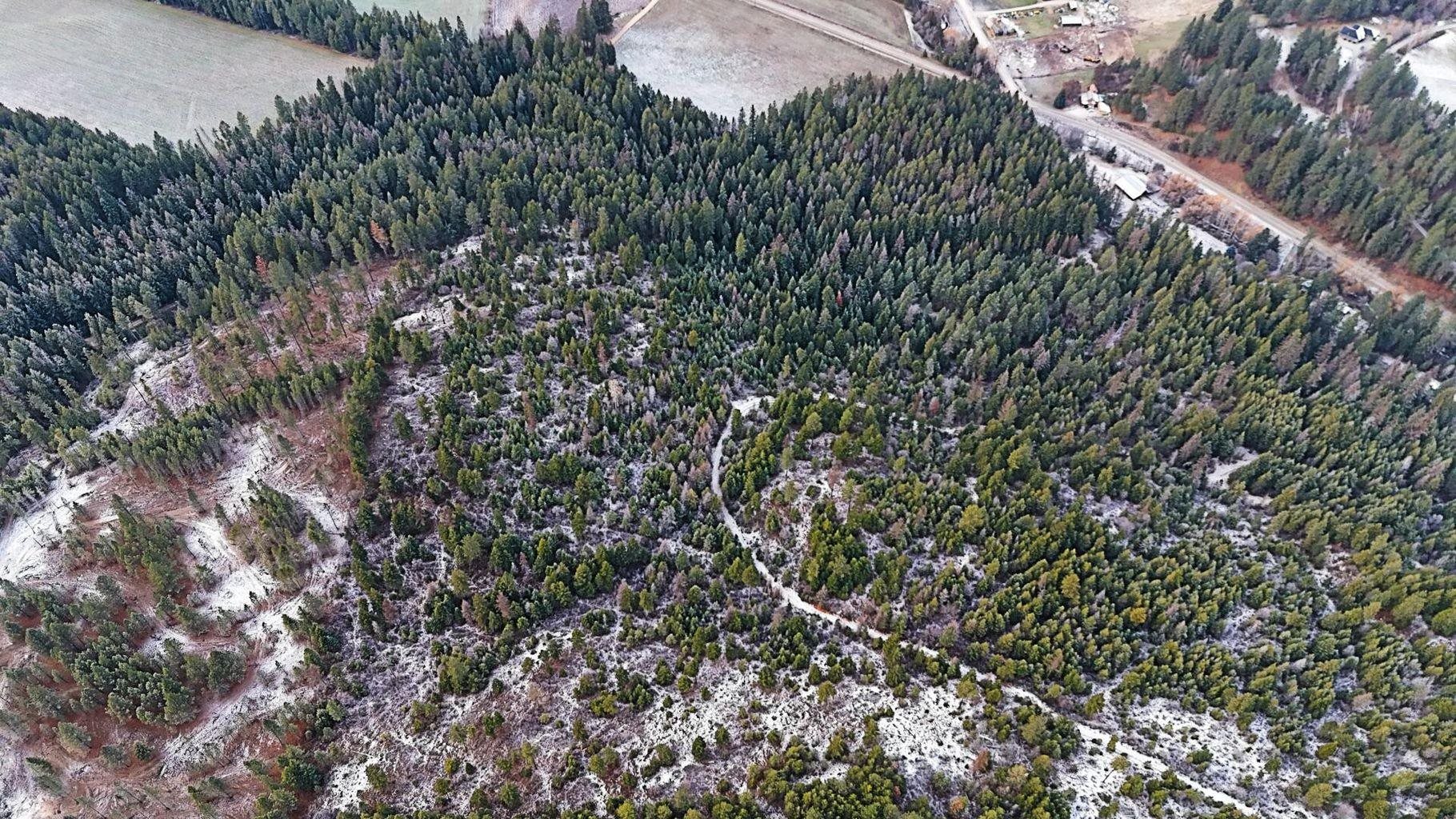 26XX C Burnt Valley Rd - Photo 3