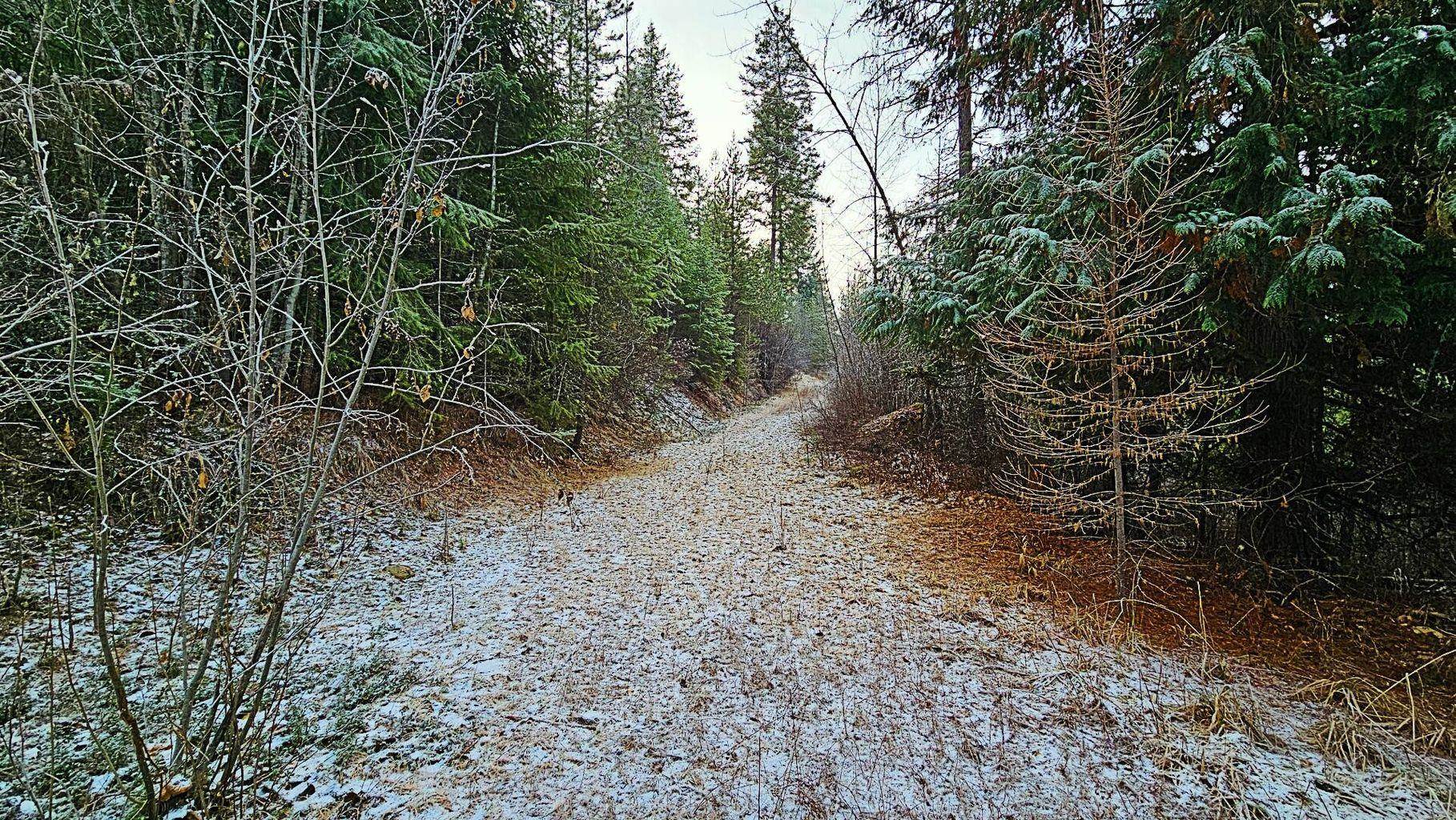 26XX C Burnt Valley Rd - Photo 6