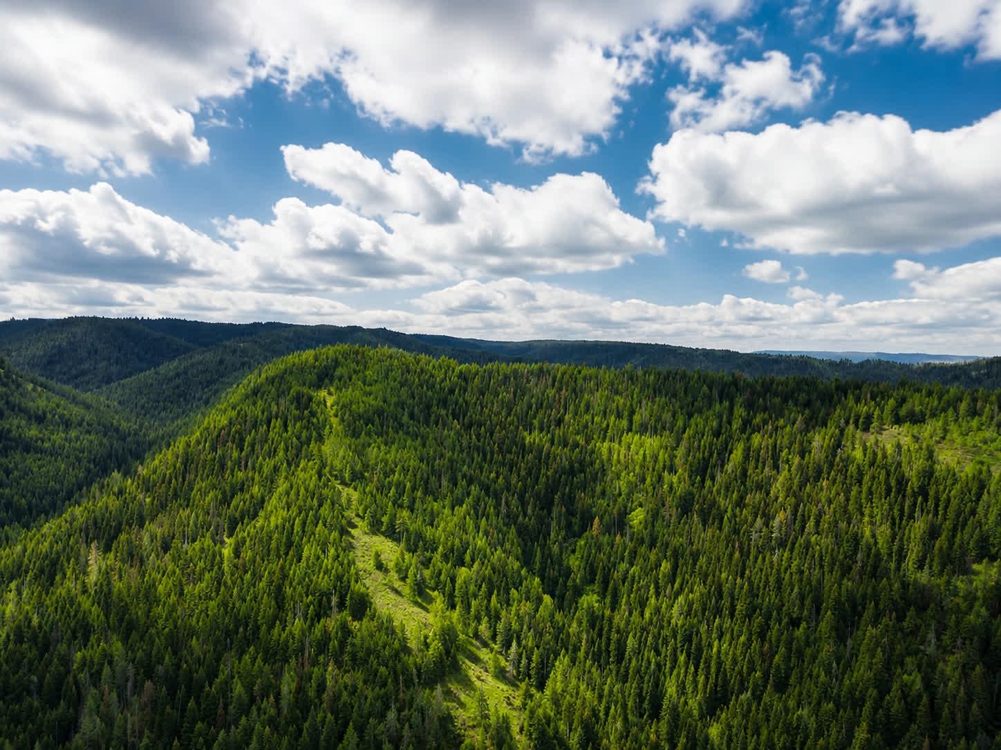 30 Acres on Biscuit Ridge Rdg - Photo 1