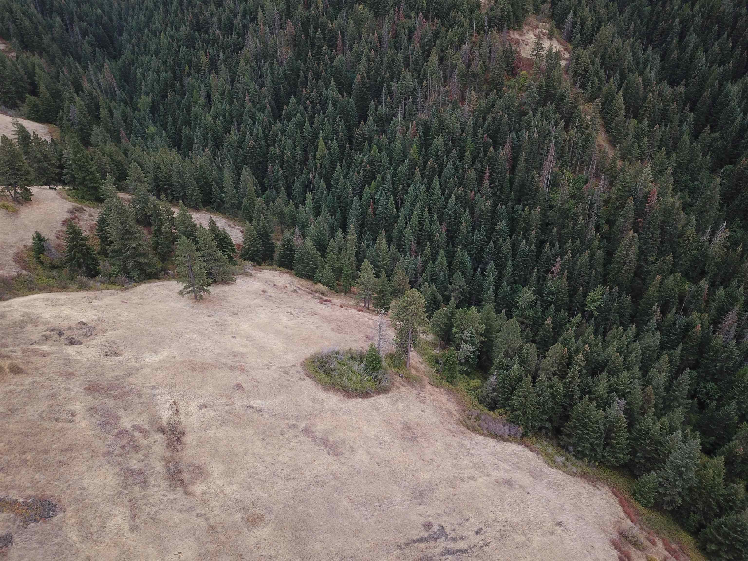 30 Acres on Biscuit Ridge Rdg - Photo 16