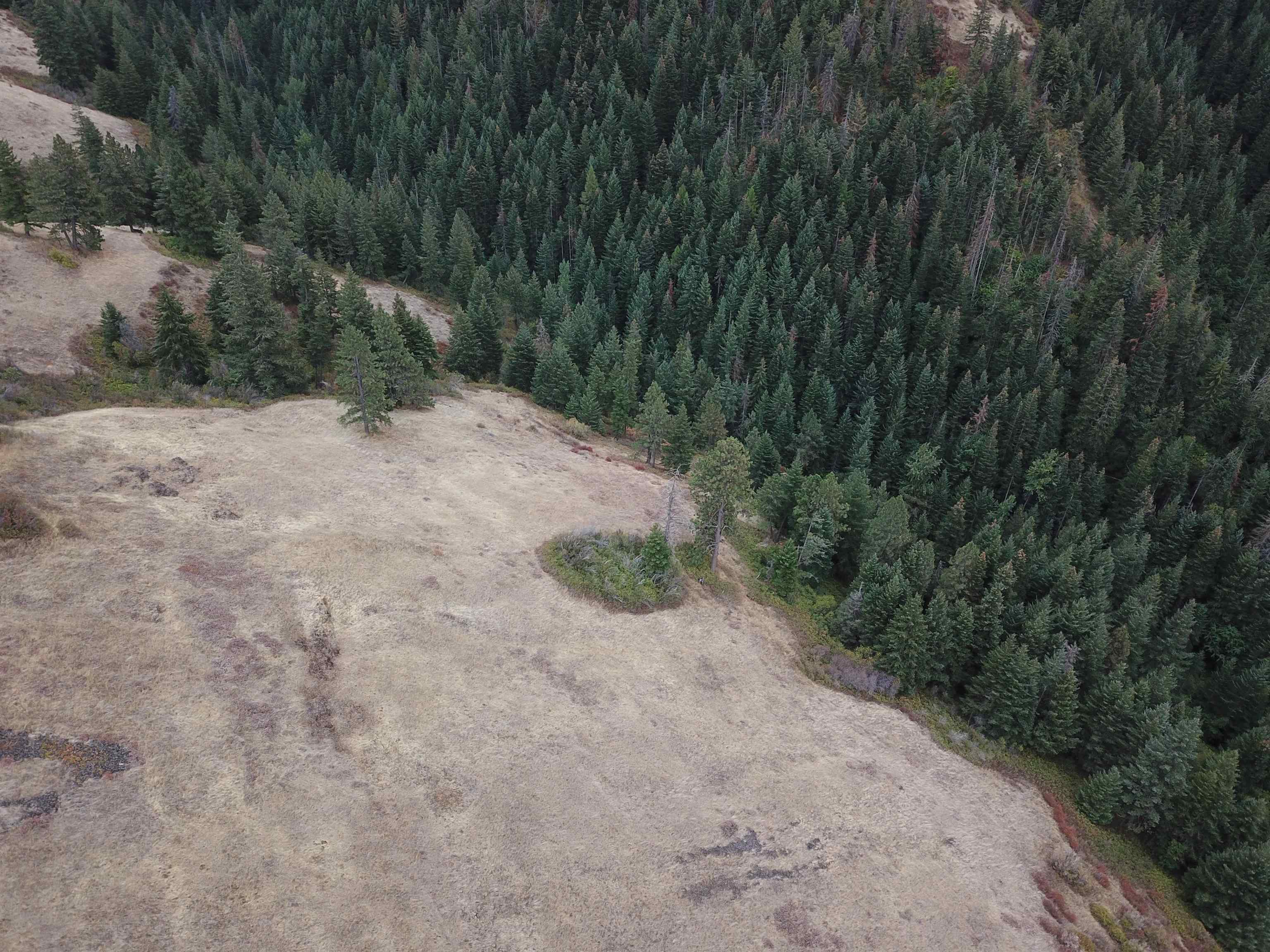 30 Acres on Biscuit Ridge Rdg - Photo 19