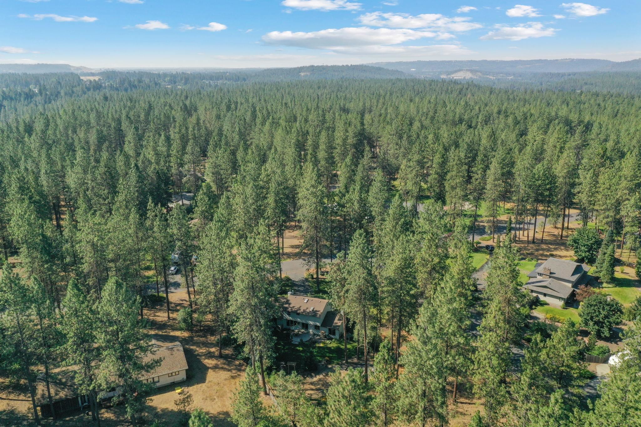 3611 E Pine Needle Ave - Photo 49