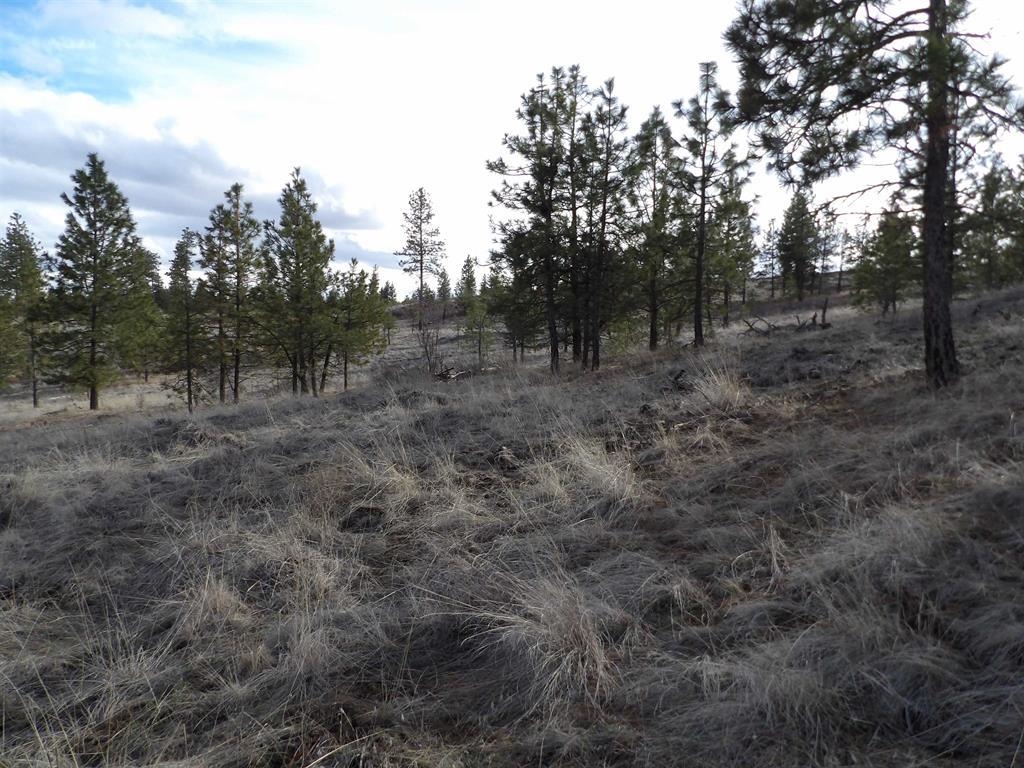 Tract E Meadow Lane Rd - Photo 1