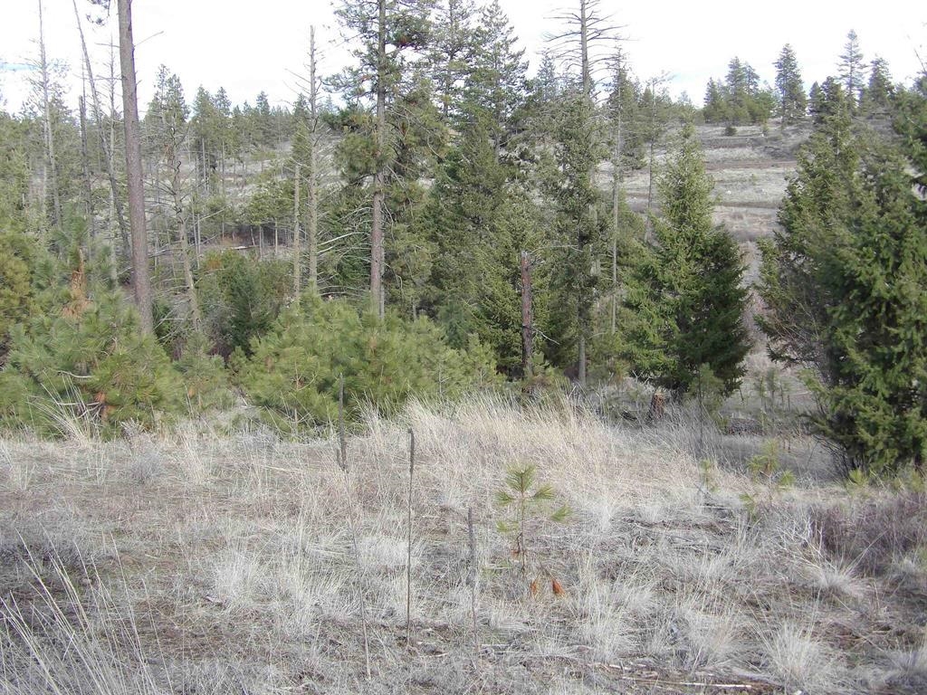 Tract E Meadow Lane Rd - Photo 11