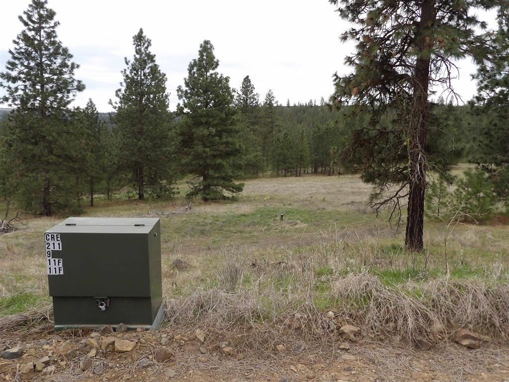 Tract E Meadow Lane Rd - Photo 13