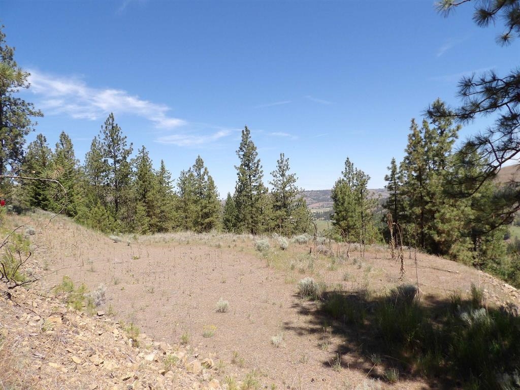 Lot 2 Chukar Short Plat Ln - Photo 1
