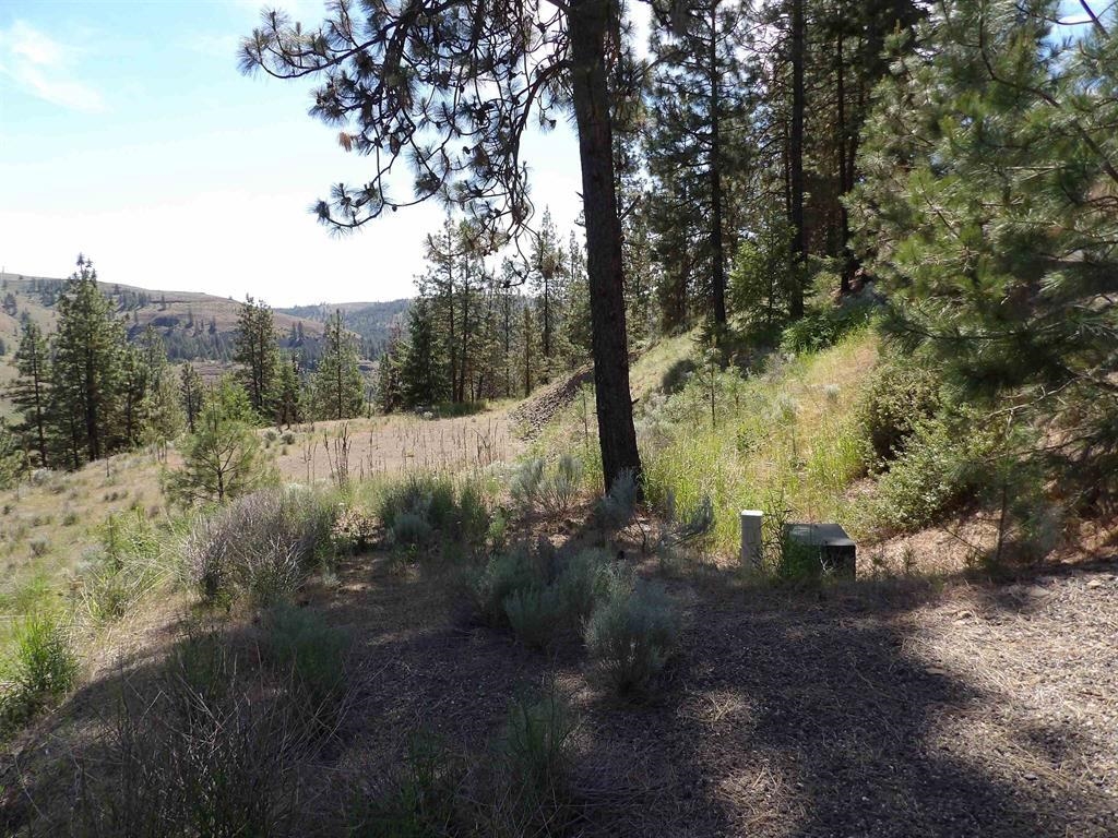 Lot 2 Chukar Short Plat Ln - Photo 2