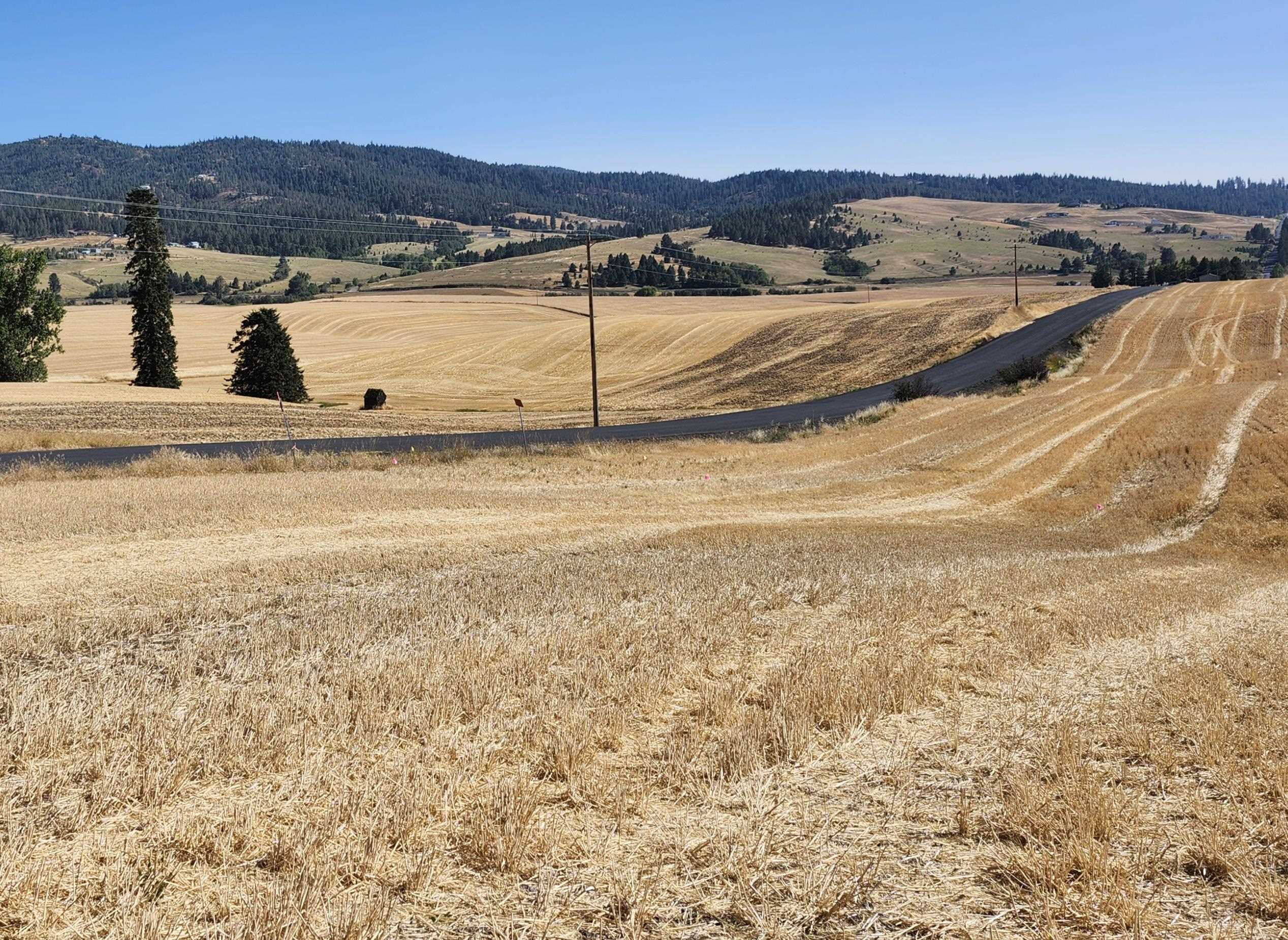 S 8004 Jackson Rd - Photo 4