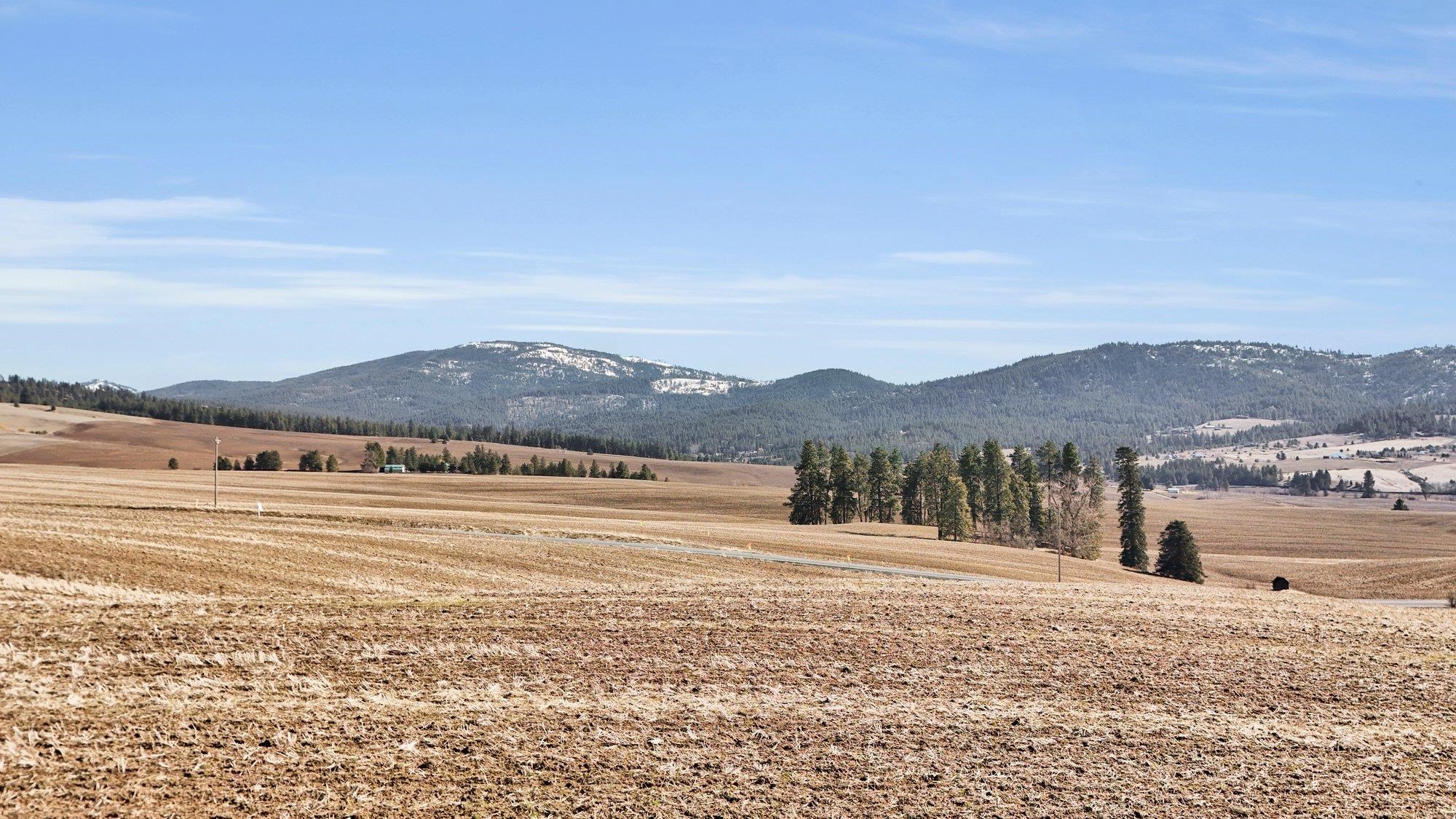 S 8004 Jackson Rd - Photo 6
