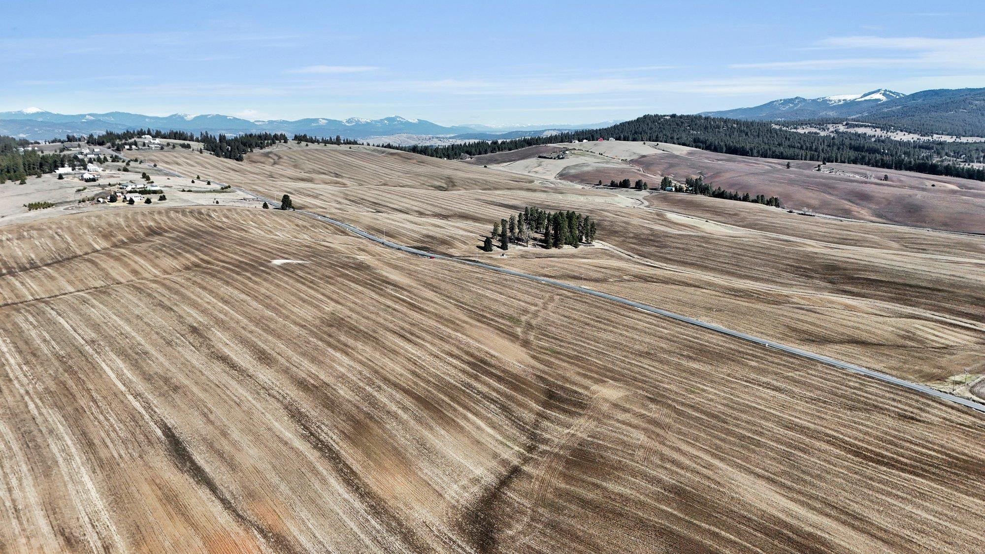 S 8002 Jackson Rd - Photo 11