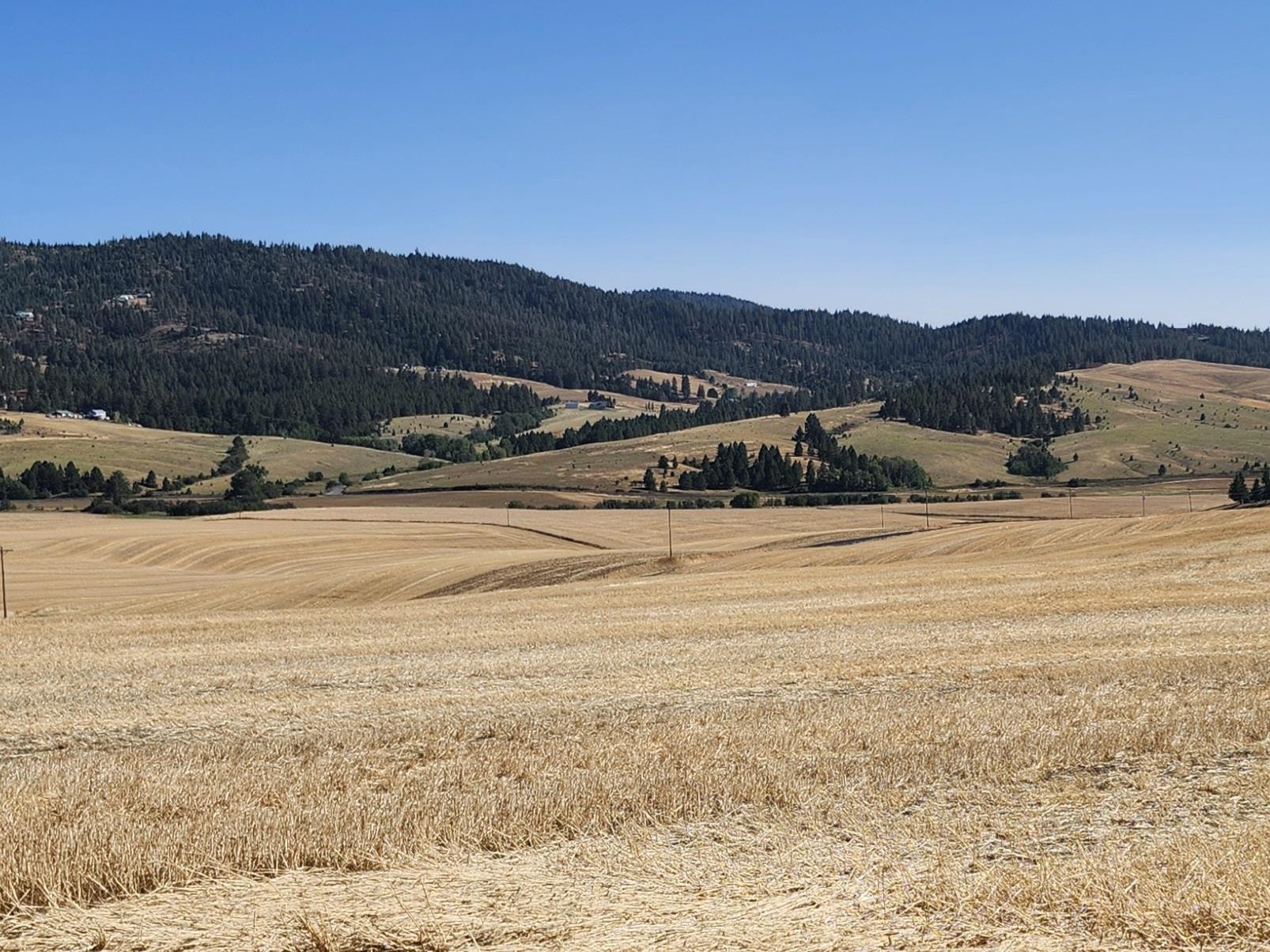 S 8002 Jackson Rd - Photo 4
