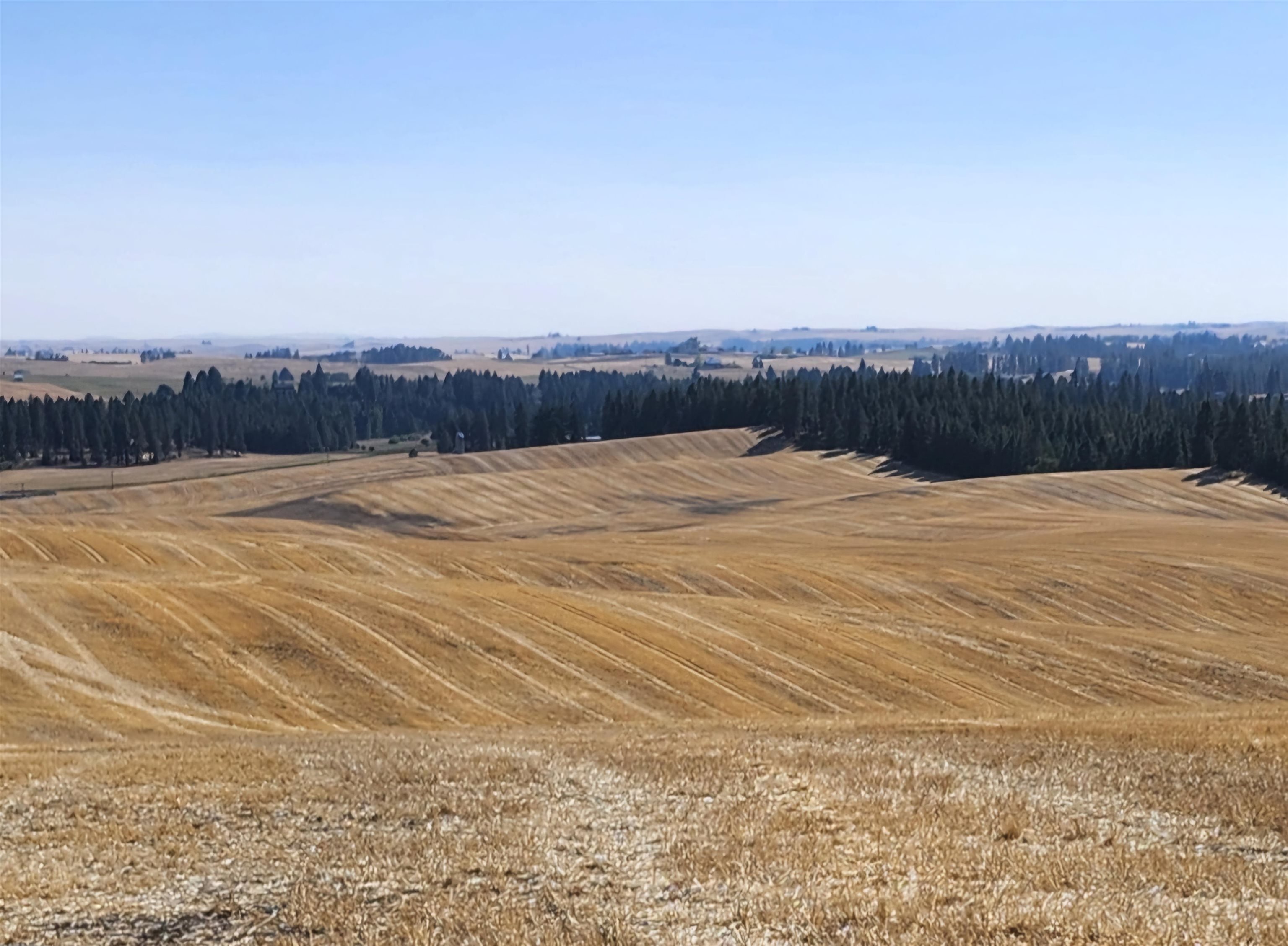 S 8002 Jackson Rd - Photo 5