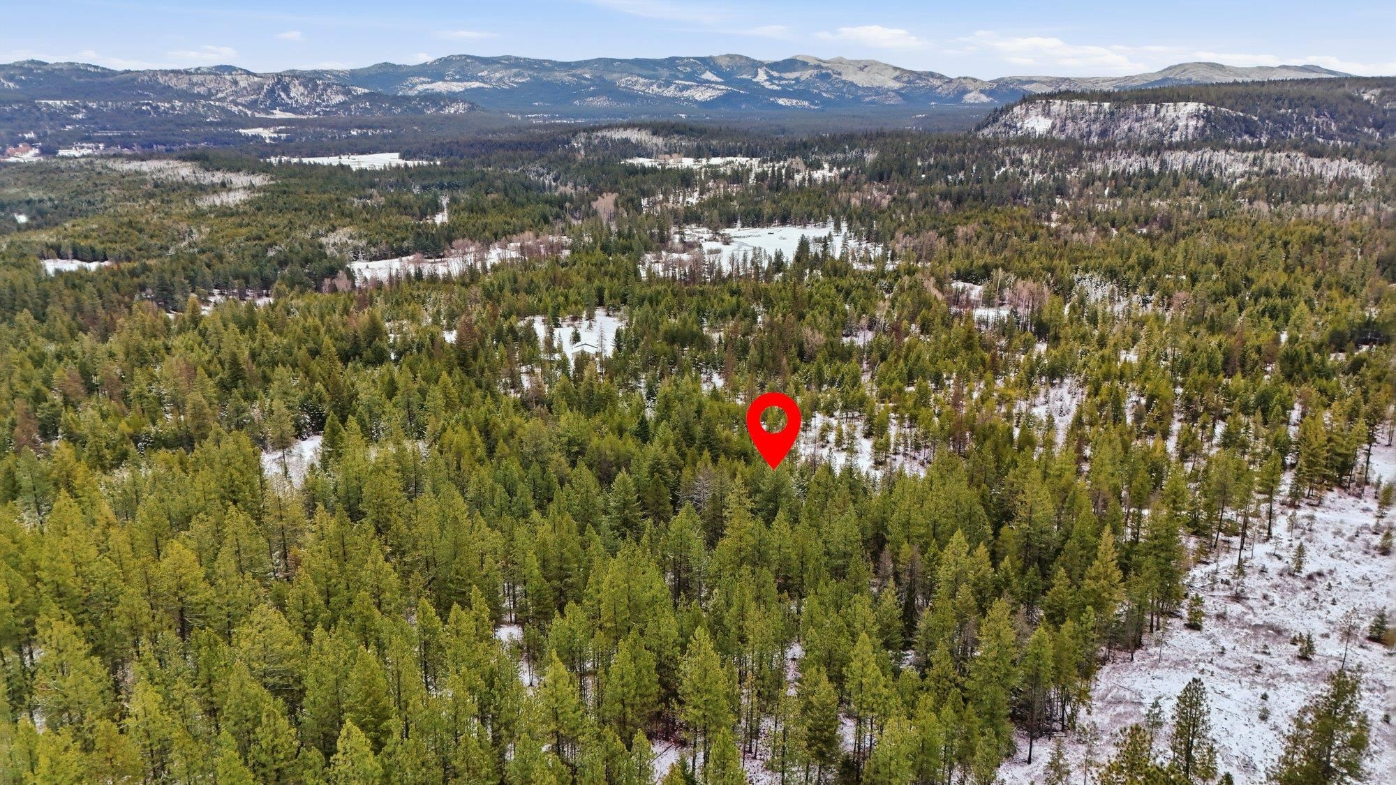 xxx Lumberg Rd - Photo 6