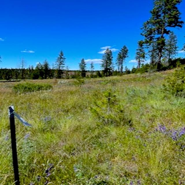 Lot A Kronos Short Plat/Pine Hen Ln - Photo 12