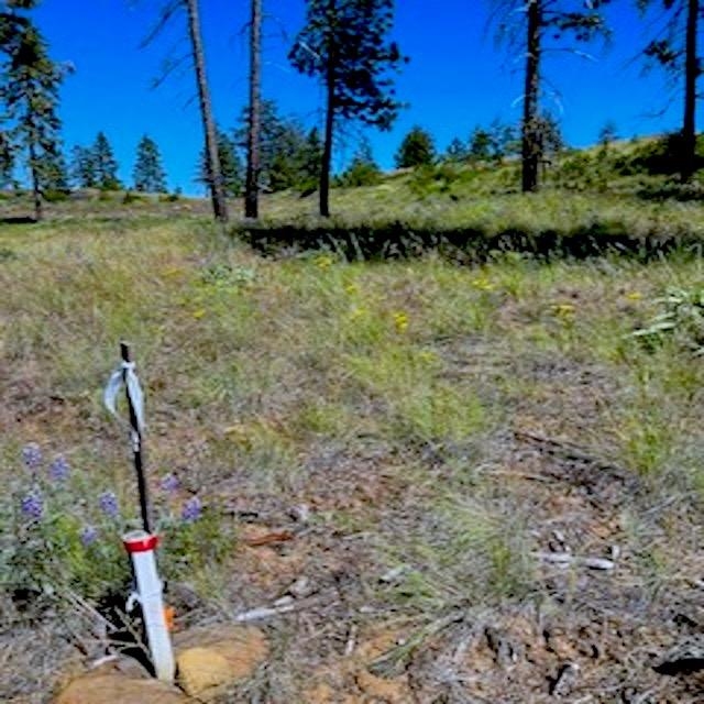 Lot A Kronos Short Plat/Pine Hen Ln - Photo 15