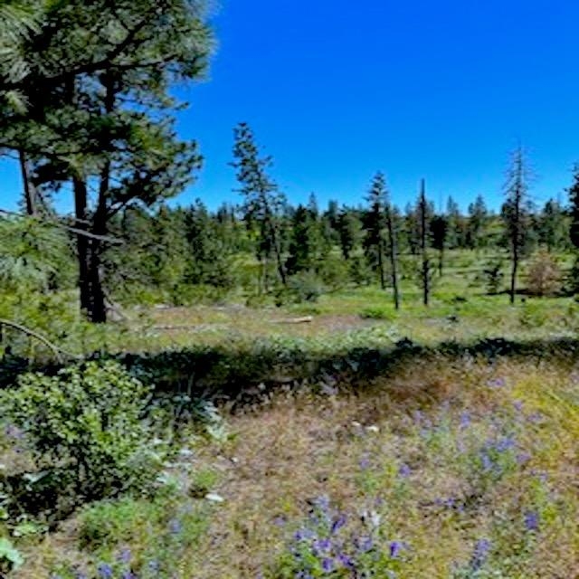 Lot A Kronos Short Plat/Pine Hen Ln - Photo 3