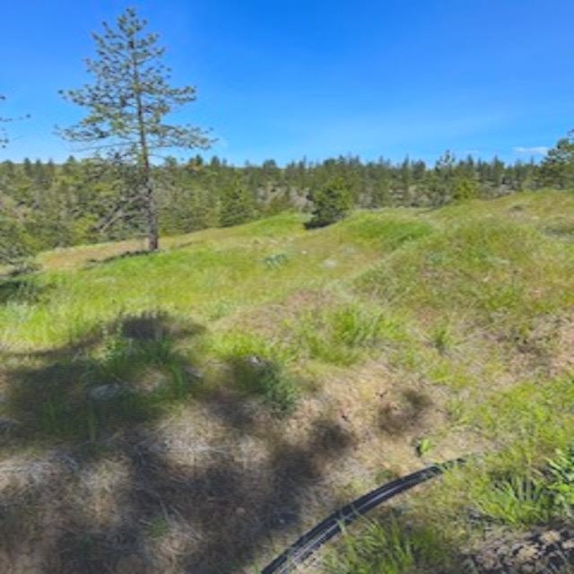 Lot A Kronos Short Plat/Pine Hen Ln - Photo 32