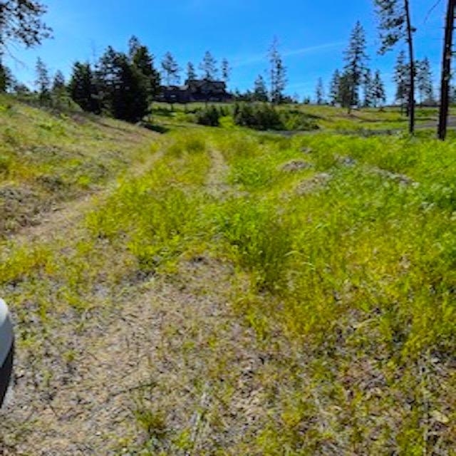 Lot A Kronos Short Plat/Pine Hen Ln - Photo 33