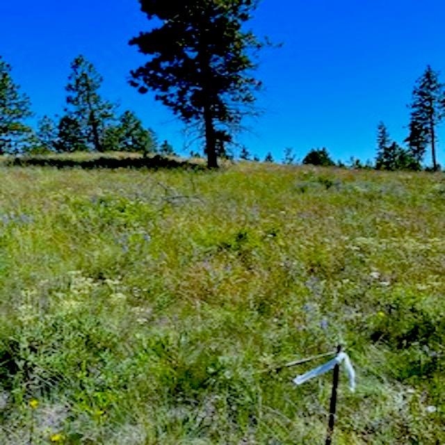 Lot A Kronos Short Plat/Pine Hen Ln - Photo 7