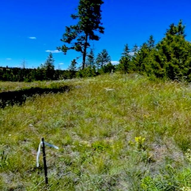 Lot A Kronos Short Plat/Pine Hen Ln - Photo 8