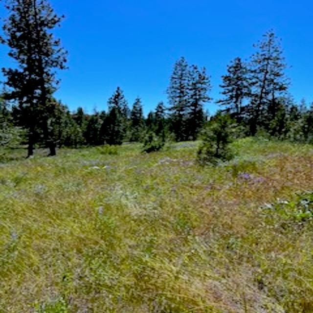 Lot B Kronos Short Plat/Pine Hen Ln - Photo 28