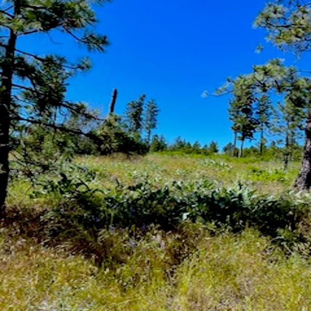 Lot B Kronos Short Plat/Pine Hen Ln - Photo 30