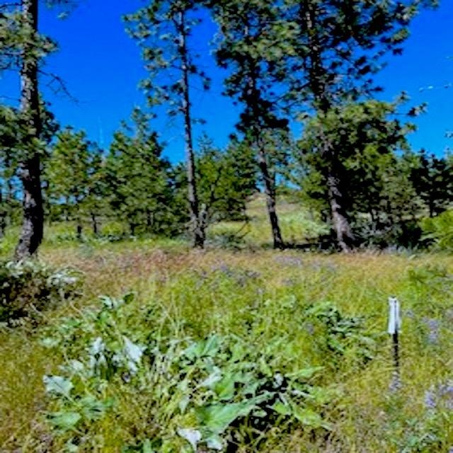 Lot B Kronos Short Plat/Pine Hen Ln - Photo 31