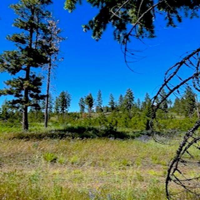 Lot B Kronos Short Plat/Pine Hen Ln - Photo 6