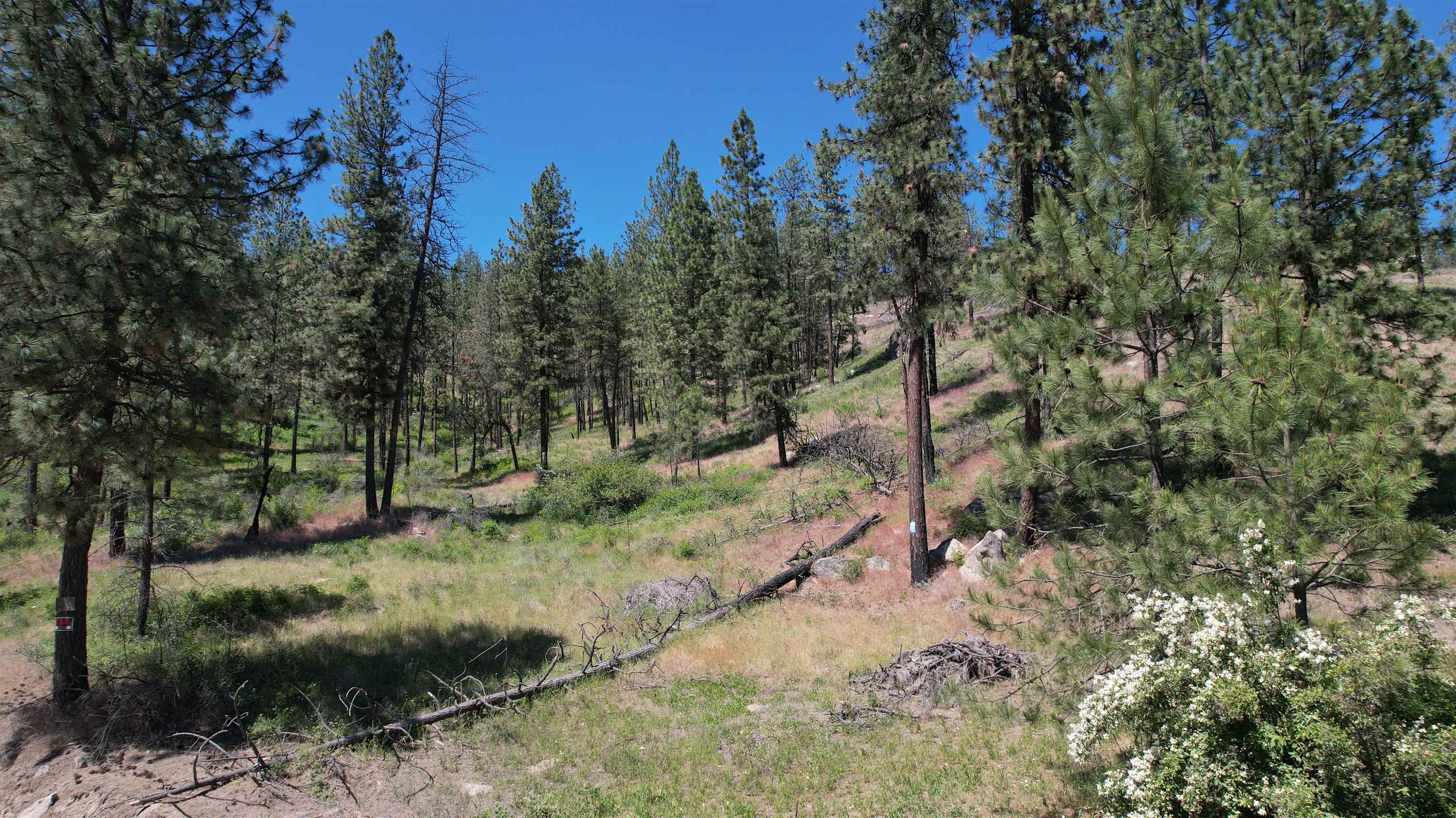 5550 Scotts Valley Rd - Photo 2