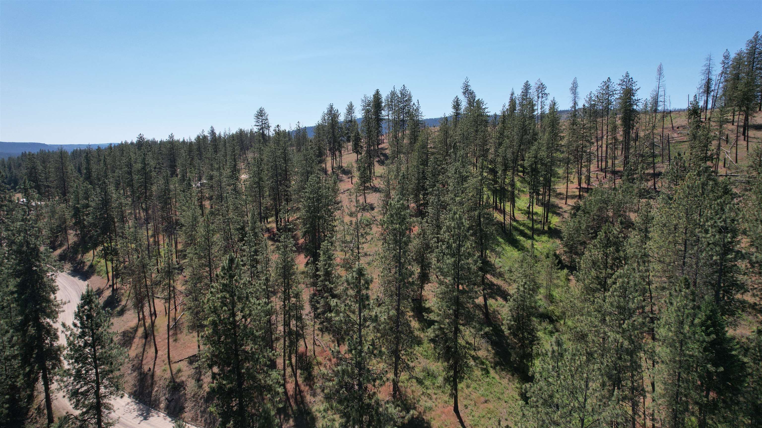 5550 Scotts Valley Rd - Photo 12