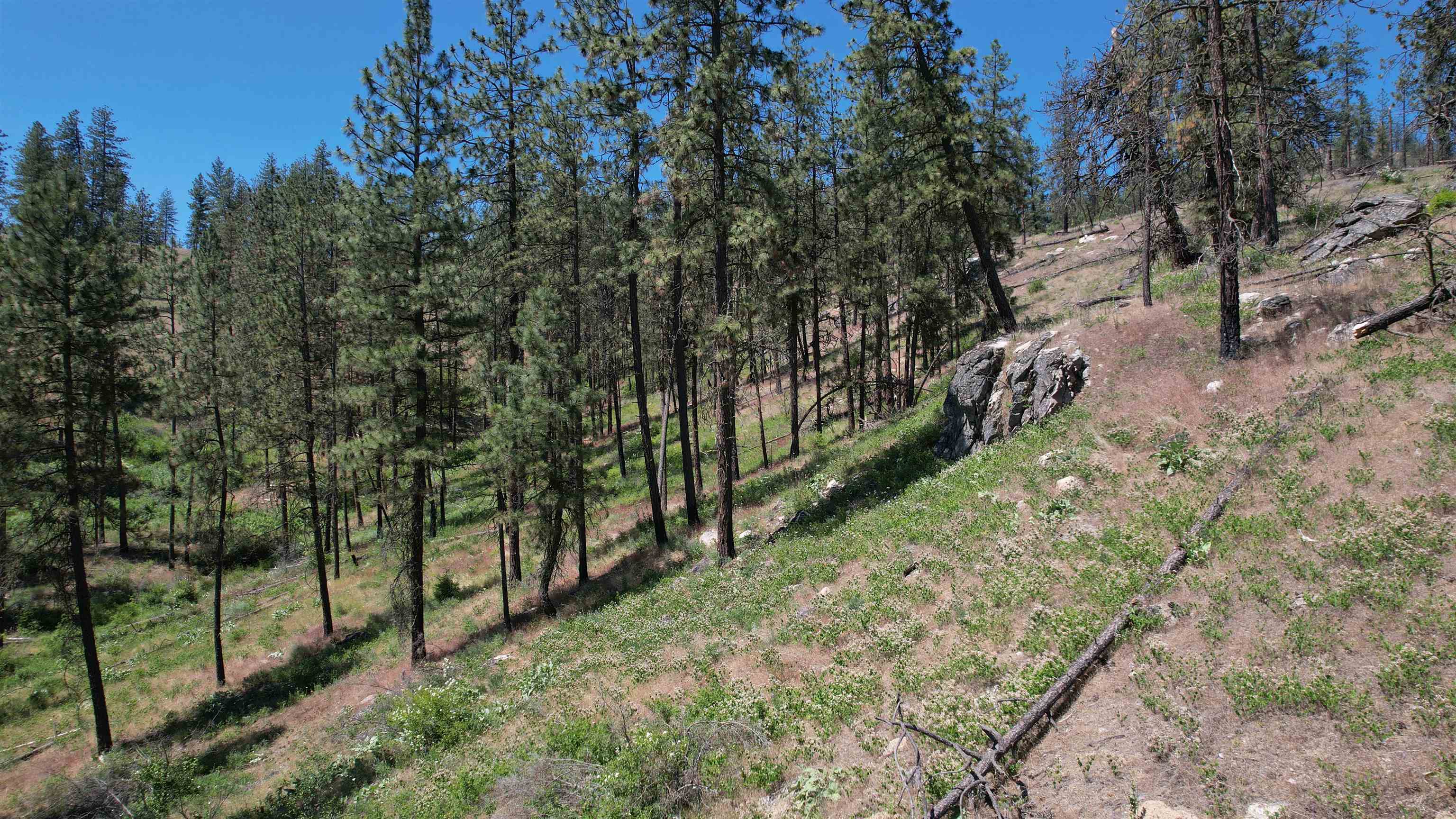 5550 Scotts Valley Rd - Photo 13