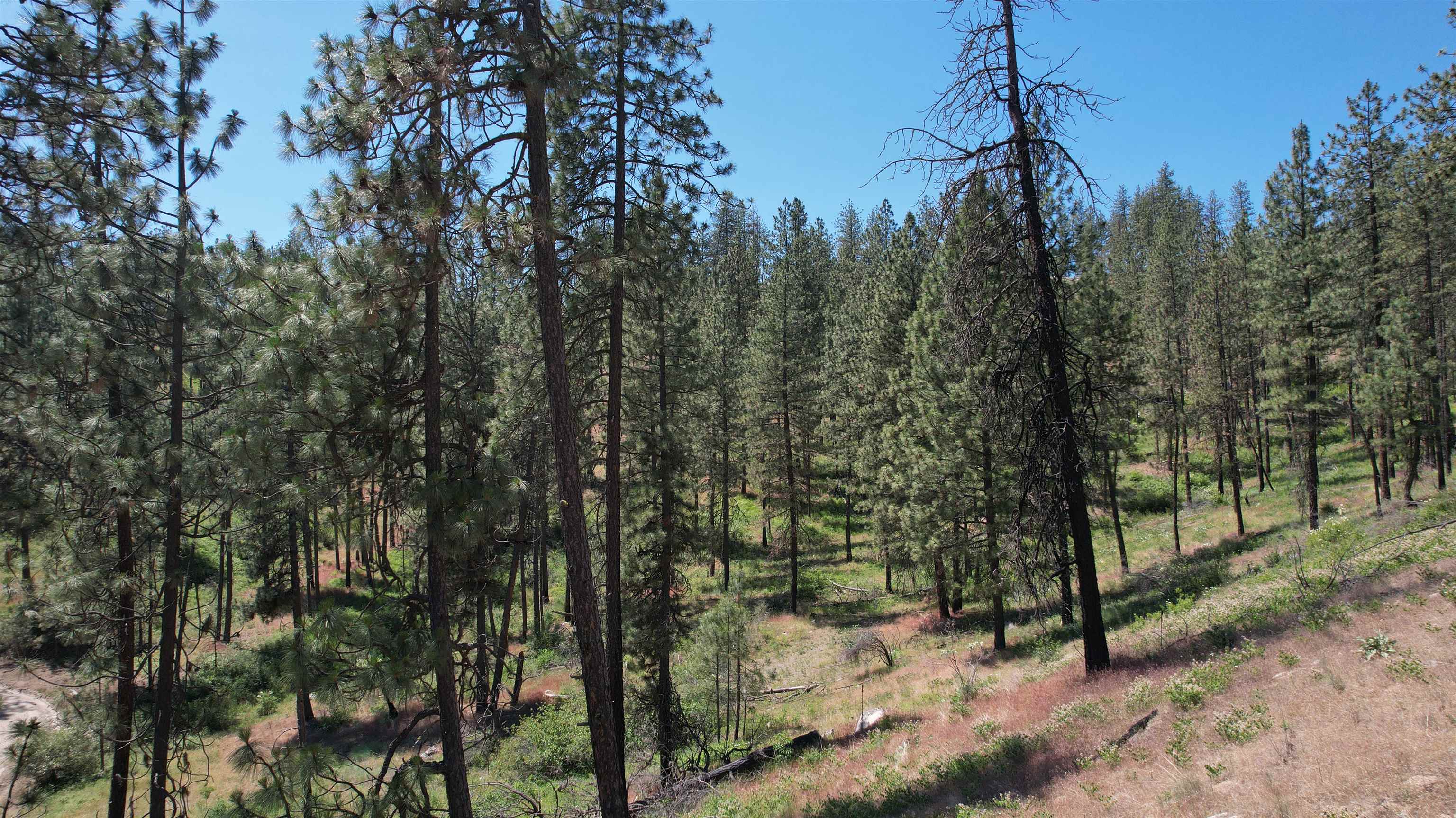 5550 Scotts Valley Rd - Photo 15